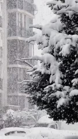 evgen101322_2026-01-08-10-50-34_1767858634826