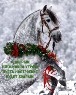 IMG_20260116_074706_138