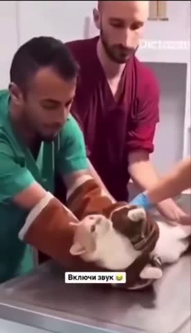 MOV_20260116_114223_436