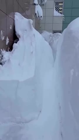 upload_279153820_file