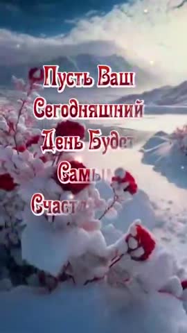 video_11174736172388