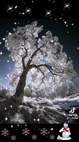 0e40a8b0251e52802a6bfe3eff29caae