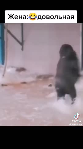 88ff467db75107312acbda5071a22795