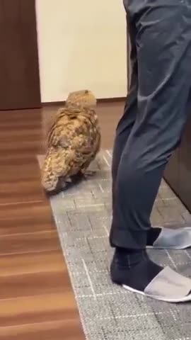 Ты меня звал