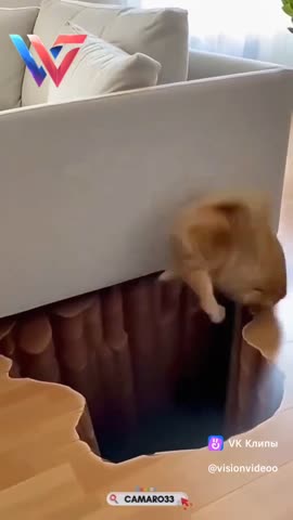 Смешное_видео_