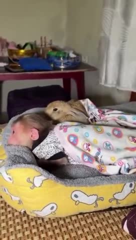 _Двач_dvachannel_rand2ch_2ch_ban_1