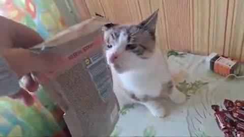 Юмор Любитель пошуметь пакетами