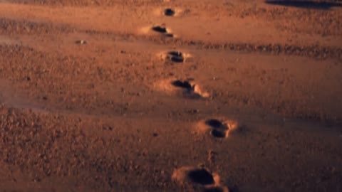 Sektor_gaza_Lirika_HD-_