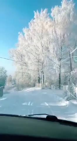 video_12831984913118