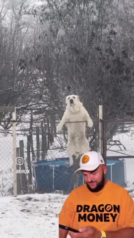 вернись_куда_пошёл