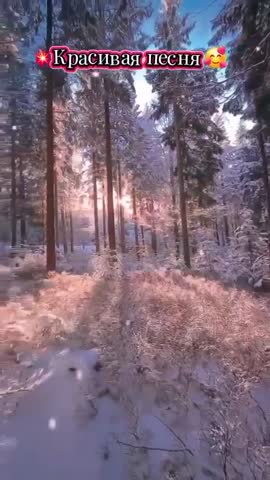 video_11925737248114