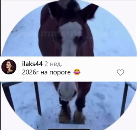 такси_прибыло