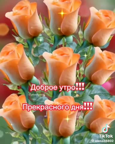 97a6c5aa8ebcae345372ee683ce86a04