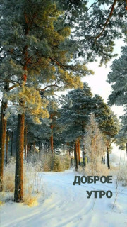 IMG_20260131_073552_581