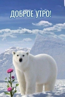 IMG_20260202_224922_457