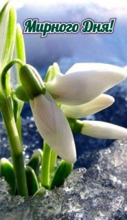 IMG_20260203_164438_467