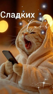 IMG_20260204_181151_891