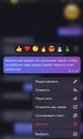 магнитный_замок