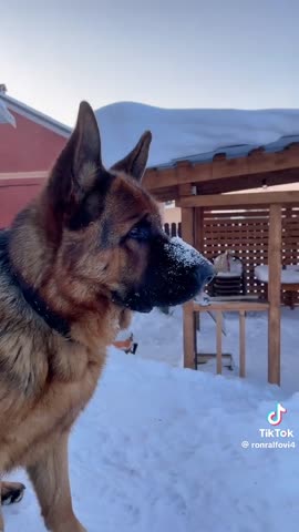 d5e899c7d7450870ca6a3f766128f96d