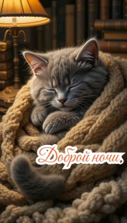 FB_IMG_17705812443179457