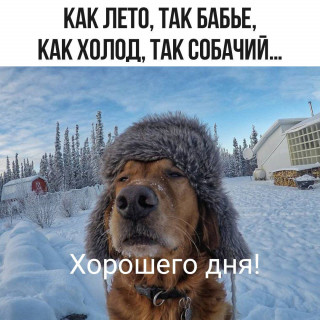 IMG_20260211_151505_104