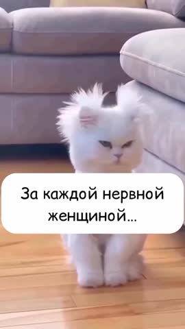 Foiz_PRO_VID-20250630-WA0039