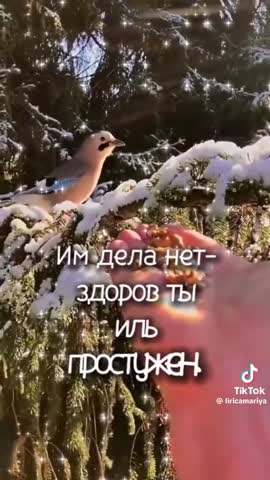 Foiz_PRO_6eb50b53bd2d7fe36aaa37d3938381d1