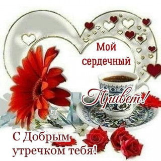 IMG_20260213_074756_764