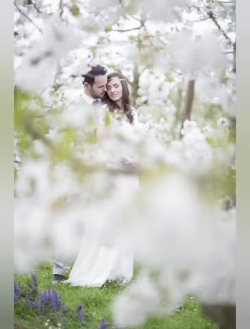 video_12036492495593