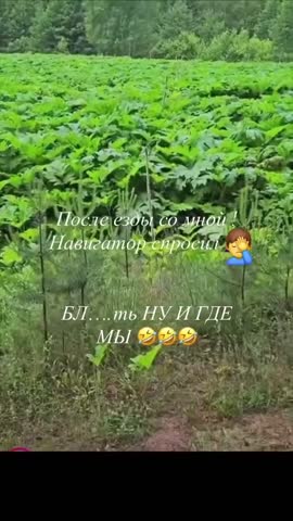 Могу прокатить