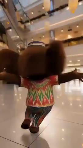 VID-20260213-WA0012
