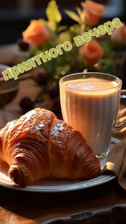 IMG_20260214_142403_808