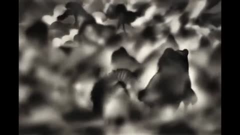 Новая_история_Ёжика_в_тумане_2