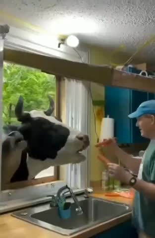 video_11302348002622