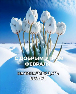 IMG_20260217_080903_048