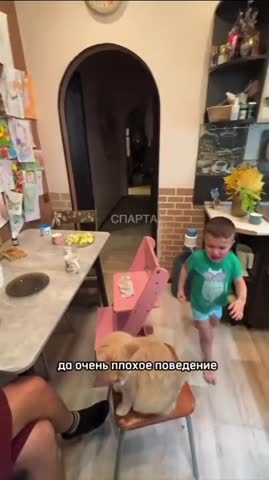 лайфхак_для_родителей