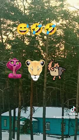 09427575859748c23d1e5343ac4fe9aa