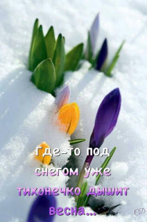 IMG_20260218_071126_957