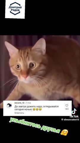 ля_ты_крыса