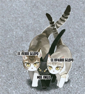 IMG_20260220_061743_951