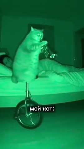 VID_20260220_112259_914