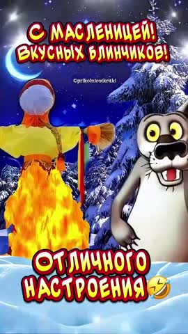 video_12468348786069