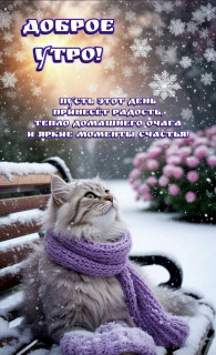 IMG_20260221_062330_102