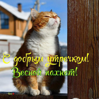 IMG_20260223_065032_585