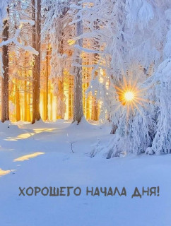 IMG_20260224_074446_249