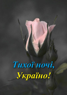 IMG-3a0b02caf519d99553de86456793ce31-V