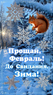 IMG_20260228_073408_553