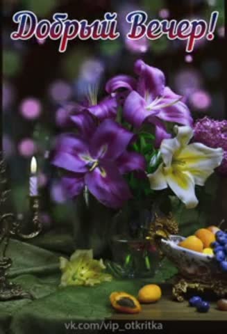 VID_20260301_160139_528