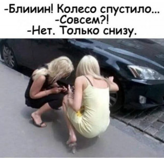 FB_IMG_1772536329049