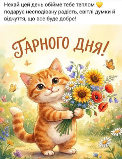 IMG-1da14f308e30824c5cf5937ce53e81d7-V